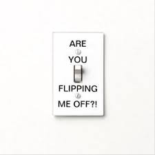 Funny Light Switch Covers Wall Switch Plates Light Switch Covers Light Switch Plates On Wall