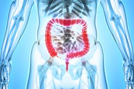 It can also show how well your bone marrow and spleen may be working. Possible Blood Test For Colon Cancer Stanford News