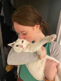 ❗️ Savigny le temple ❗️ CHAT RETROUVÉ ! Rocket a été retrouvé ! Nous sommes  tellement soulagés ! Un grand merci à tous pour vos partages et votre aide  ! 🥰 Et