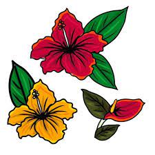 Naturally stylish villas in this exotic island hideaway. Gambar Bunga Bunga Raya Ilustrasi Tropika Bunga Png Dan Vektor Untuk Muat Turun Percuma In 2021 Hibiscus Floral Retro