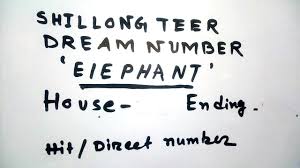 Shillong Teer Dream Number Elephant Dream Shillong Teer Hit