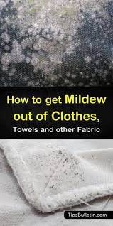 How to prevent mold on clothes. 34 Best Remove Mold On Clothes Ideas Mold On Clothes Get Rid Of Mold Cleaning Hacks