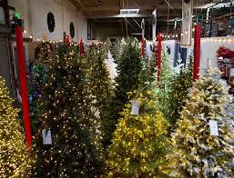 Jingles christmas trees in los angeles, san diego, west palm beach & arvada. Not Faux News Yes Virginia A Christmas Tree Company Grows In Downtown Redwood City Climate Online
