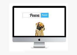 If you don't have it, they should be able to provide you with the code upon request. Peeva Fetch Central Pet Microchip Registry And Pet Imac 27 Hd Png Download Kindpng