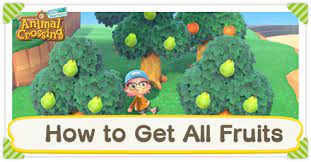 How To Get All Fruits Fruit Tree Guide Acnh Animal Crossing New Horizons Switch Game8