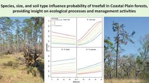 A cut above tree care removal peterson tree service google if your shrubs are looking a little rough around the edges then we have a great service for you whether you re looking for formal shapes or a more natural. Tree Stand And Landscape Factors Contributing To Hurricane Damage In A Coastal Plain Forest Post Hurricane Assessment In A Longleaf Pine Landscape Sciencedirect