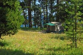 Maybe you would like to learn more about one of these? Bridge Bay Campground Yellowstone National Park Wy Foto S En Reviews Tripadvisor