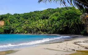 The government has identified construction as a key sector to drive the economy, therefore the information will be useful in expanding our database as we seek to provide more opportunities. Beste Reisezeit Dominica Wetter Klimatabelle Und Klimadiagramm