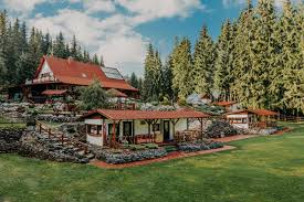 Listen to mendoan on spotify. Cabana Bucin Bucin Updated 2021 Prices