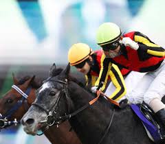 2:38 シネマトゥデイ recommended for you. æœ‰é¦¬è¨˜å¿µ ã‚¯ãƒ­ãƒŽã‚¸ã‚§ãƒã‚·ã‚¹ 11é ­ç›®ã®gpé€£è¦‡ ã¾ã•ã« ç‰é¦¬ã‚¤ãƒ¤ãƒ¼ å²ä¸Šåˆãƒ¯ãƒ³ãƒ„ãƒ¼ç· ã‚ ã‚¹ãƒãƒ‹ãƒ Sponichi Annex ã‚®ãƒ£ãƒ³ãƒ–ãƒ«