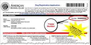 Akc Registered Dogs Reepinorlifescience Com