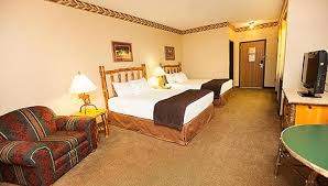 I went with the grizzly suite. Great Wolf Lodge Kids Rooms Shefalitayal