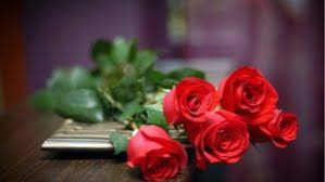 Oídos sordos a palabras necias. 4k Background With Pictures Of Red Roses Flower Rose Flower Wallpaper Rose Flower Photos Rose Flower Hd