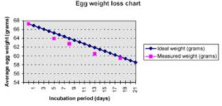 humidity in incubation