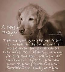 Dog S Prayer Because They Only Have You Foster Dog Quotes A Dogs Prayer Dogs