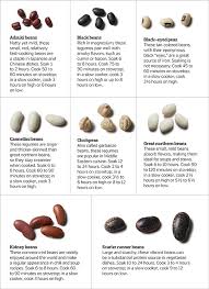 Whether you're cooking a 15 lb bird of a 20 lb one, here's what you need to know about your turkey cooking time. 56 Cooking Methods Ideas In 2021 Cooking How To Cook Beans Bean Recipes