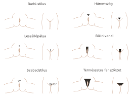 The gallery for thick pubic hair; File Pubic Hair Styles Hu Svg Wikimedia Commons