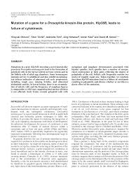 We are going to see: Http Www Dkfz De Funct Genome Pdf Files Jcellsci 110 281997 29 945 Pdf