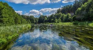 Zapraszamy do skorzystania z interaktywnej mapy borów tucholskich. Bory Tucholskie Noclegi Z Wyzywieniem W 4 Evita Hotel Spa Za 189 Pln Pokoj Jesien Fly4free Pl Tanie Loty I Sposoby Na Tanie Bilety Lotnicze