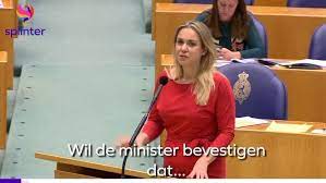 Je zou natuurlijk bij de pakken neer kunnen gaan zitten. Femke Merel Van Kooten