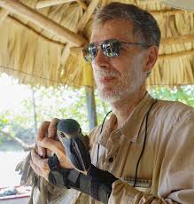 Boat-Billed Heron Cochlearius cochlearius