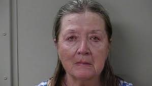 Cats rescued in Murfreesboro from camper at Walmart