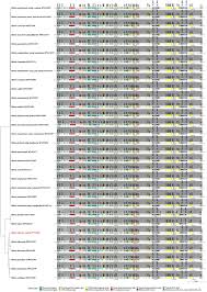 Image result for Bidens schimperi