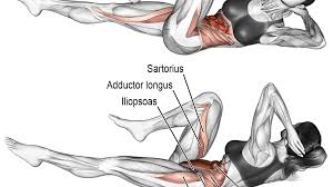 Pin On Anatomy