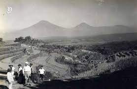 Mewarnai gambar pemandangan gunung dan sawah. Pemandangan Sawah Dan Gunung Di Magelang Jawa Tengah Sekitar 1935