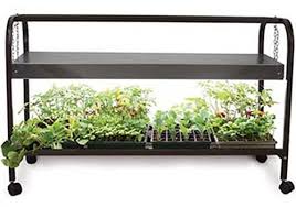 Check spelling or type a new query. 13 Of The Best Grow Lights For Indoor Gardens Gardener S Path
