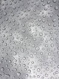 Check spelling or type a new query. 100 000 Best Drops Of Water Photos 100 Free Download Pexels Stock Photos