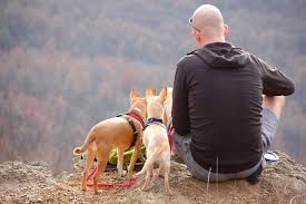 Emotional support animals help their owners cope with a wide range of health conditions below is a sample esa letter for reference. Sample Letter For Therapy Support Animal Pdsc Psychological Disability Service Center I Esa Emotional Support Animal Though They Provide Incredibly Important Services Emotional Support Animals Are Considered To Be Somewhere