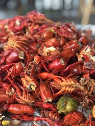 Cajun Spice Mix Recipe Georgiapellegrini Com Recipe Spice Mix Recipes Cajun Spiced Spice Recipes