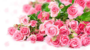 Pink Flowers Bouquet Wallpaper Free Hd Rose Flower Wallpaper Pink Flowers Background Pink Rose Pictures