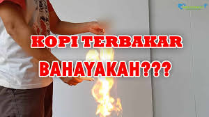 Maybe you would like to learn more about one of these? Kopi Luwak Bisa Terbakar Ini Penjelasannya Halosehat