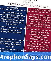 Protein disusun oleh asam amino yang merupakan senyawa turunan asam karboksilat yang punya gugus amino. Apa Perbedaan Antara Penyambungan Rna Dan Penyambungan Alternatif Perbedaan Antara 2021