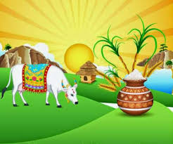 Pongal is a traditional south indian harvest festival, and is one of the most important festivals in the hindu calendar year. Happy Pongal 2021 Wishes Quotes Messages Greetings Whatsapp And Facebook Status To Share With Your Friends