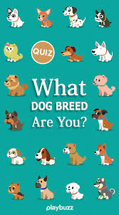 Any dog lover can tell you that canines are among the smartest animals on earth. What Dog Breed Are You Dog Breed Quiz Dog Quiz Dog Quizzes
