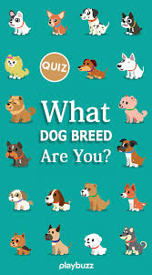 Feb 09, 2016 · with the westminster dog show coming up, now is a great time to test your dog breed knowledge! What Dog Breed Are You What Dogs Dog Quizzes Dog Breed Quiz