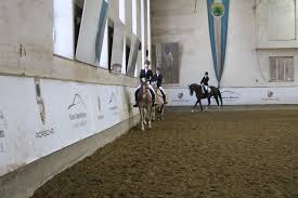 Die tägliche verpflegung beinhaltet ein kleines, zweites frühstück auf der reitanlage sowie den mittagstisch im restaurant. Pferdesportverein Englischer Garten E V Beitrage Facebook