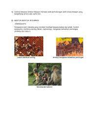 1) terdapat pelbagai jenis haiwan yang hidup secara berkumpulan. Sains Folio Ajiq