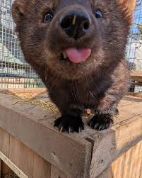 [Image: images?q=tbn:ANd9GcROMJ4IfXN5wbnM7L2pV64...&amp;s]