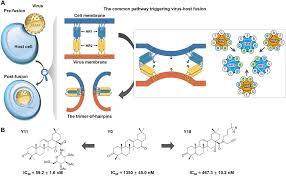 Opera stable is not considered malicious, but it may cause several issues on the computer system and the internet browser, as well as promote questionable search results and webpages. Triterpenoids Manipulate A Broad Range Of Virus Host Fusion Via Wrapping The Hr2 Domain Prevalent In Viral Envelopes Science Advances