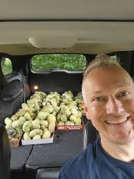 First timer here. I've researched the internet but wanted to ask actual  people who grow them. What is the ideal soil and are there any other tips  or tricks to growing these