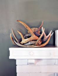 See more ideas about antlers, antlers decor, antler crafts. 18 Creative Ways To Decorate With Antlers