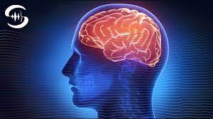 Alpha waves learning music (12 Hz binaural beats) - Music to study to -  YouTube