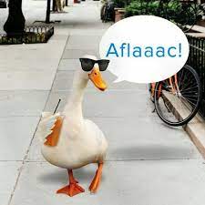 32 Aflac Ideas Aflac Aflac Insurance Aflac Duck