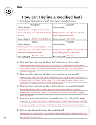 How Can I Define A Modified Leaf