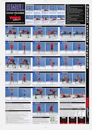 77 bright gym workout chart hd images pdf