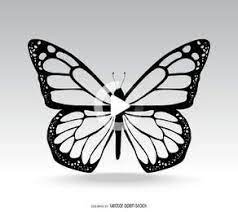 Graficos De Fly Ilustracion De Mariposa Tatuaje De Mariposa Monarca Mariposas Para Tatuar